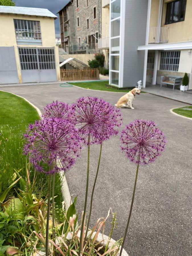 شقة Chez Helene 3 Etoiles, Labellise Disabled Pmr,Pour 4 Personnes Chiens Bienvenus-Pet Friendly بورغ مدام المظهر الخارجي الصورة