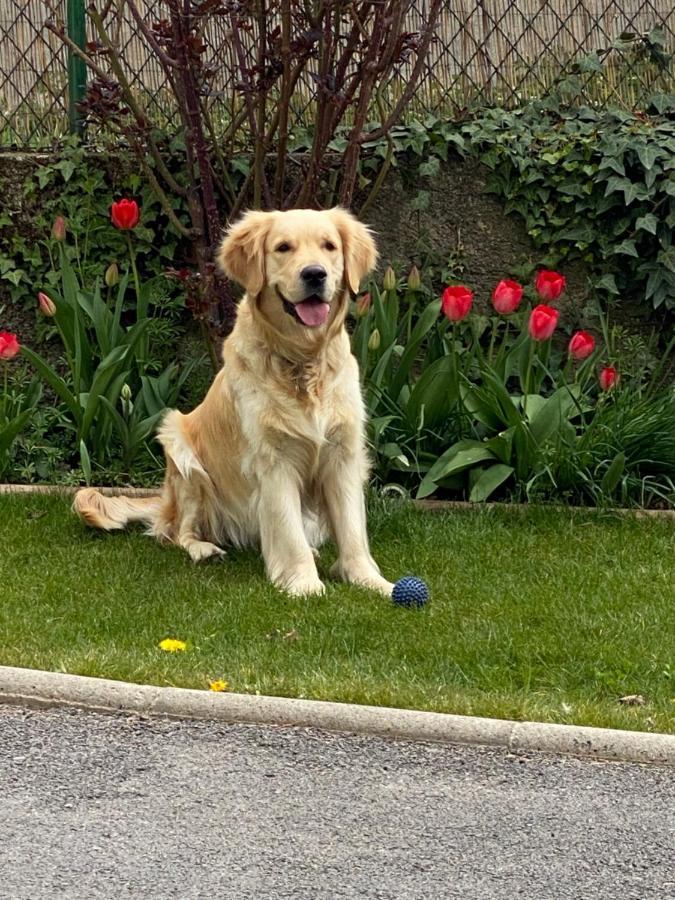 شقة Chez Helene 3 Etoiles, Labellise Disabled Pmr,Pour 4 Personnes Chiens Bienvenus-Pet Friendly بورغ مدام المظهر الخارجي الصورة