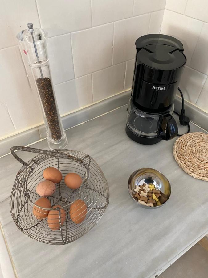 شقة Chez Helene 3 Etoiles, Labellise Disabled Pmr,Pour 4 Personnes Chiens Bienvenus-Pet Friendly بورغ مدام المظهر الخارجي الصورة